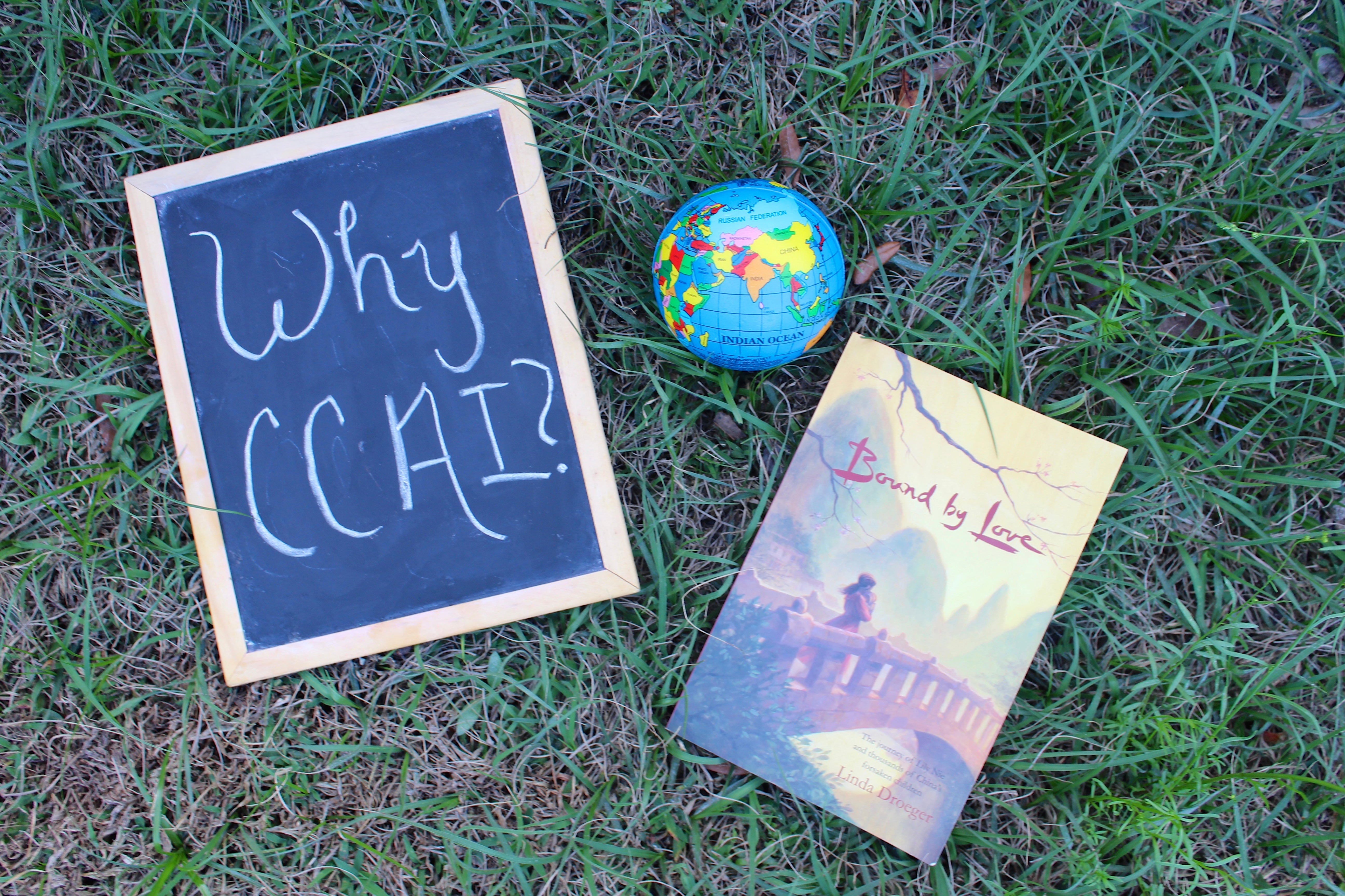 Why CCAI?