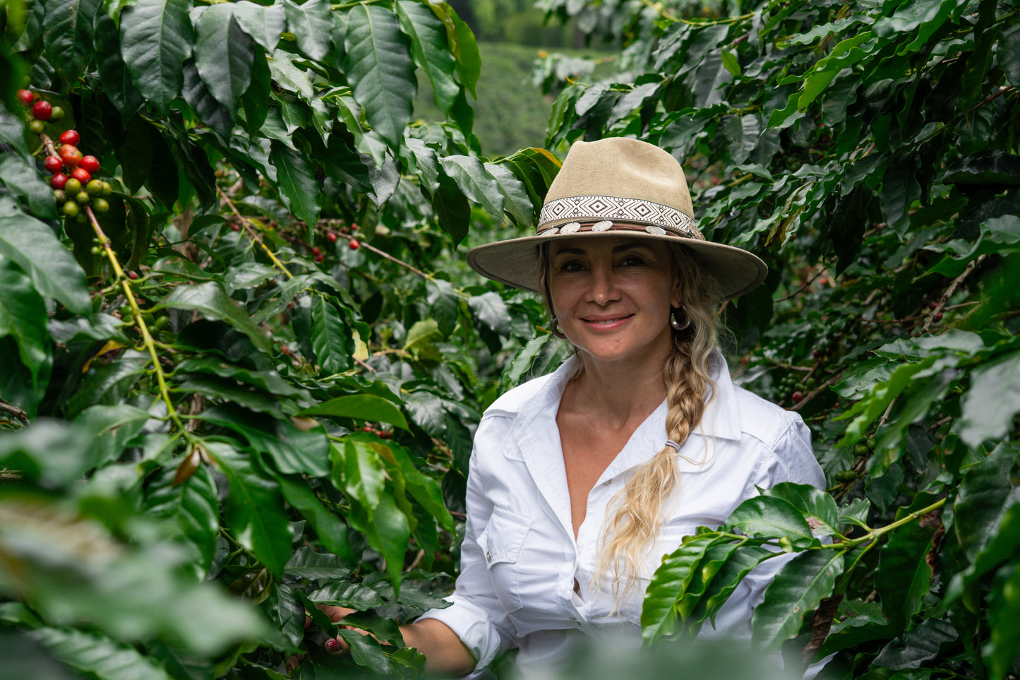 Co-Ferment Coffee Beans: Coconut (8oz) Medium/Light Roast