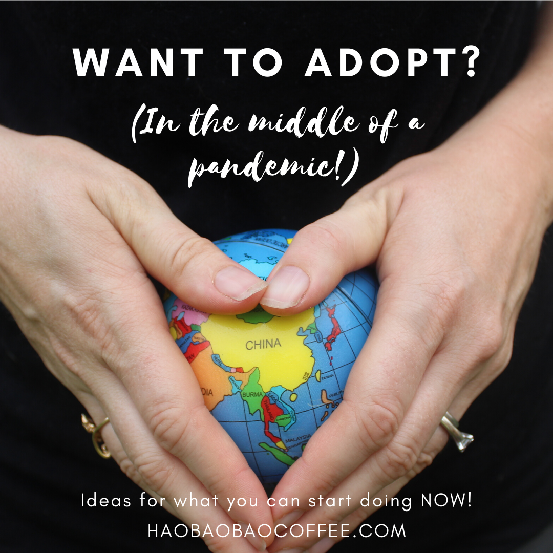 Want to Adopt? (In the Middle of a Pandemic!)